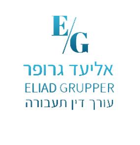 Eliad Gropper - Lawyer