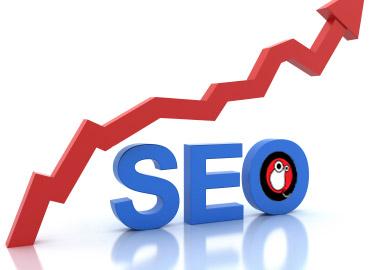 seo and programming solutions